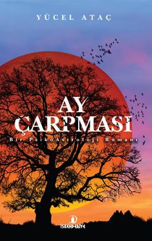 Ay Çarpması PDF İndir