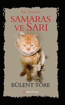 SAMARAS VE SARI - Bülent Töre PDF İndir