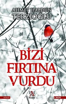 Bizi Fırtına Vurdu - Ahmet Haldun Terzioğlu PDF İndir
