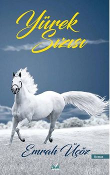Yürek Sızısı - Emrah Üçöz PDF İndir
