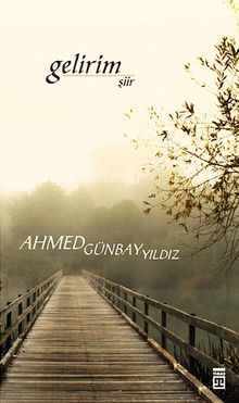 Gelirim - Ahmed Günbay Yıldız PDF İndir