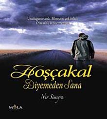 Hoşçakal Diyemeden Sana - Nur Sümeyra PDF İndir