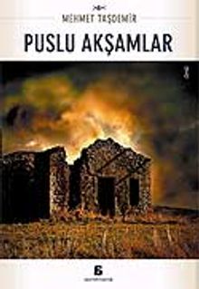 Puslu Akşamlar - Mehmet Taşdemir