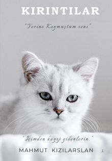 Kırıntılar - Mahmut Kızılarslan PDF İndir