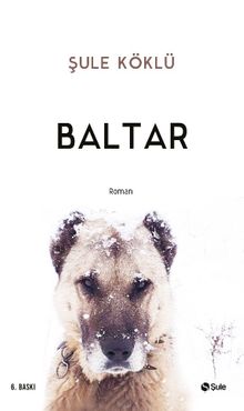 Baltar PDF İndir