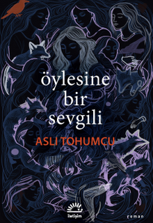 Öylesine Bir Sevgili - Aslı Tohumcu PDF İndir