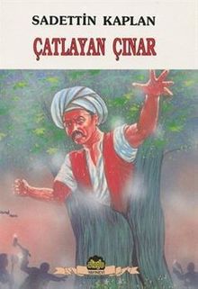 Çatlayan Çınar - Sadettin Kaplan PDF İndir