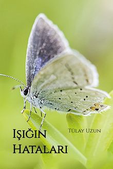 Işığın Hataları - Tülay Uzun