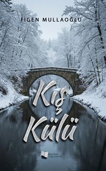 Kış Külü - Figen Mullaoğlu PDF İndir