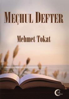 Meçhul Defter - Mehmet Tokat PDF İndir