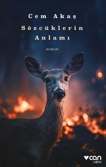 Sözcüklerin Anlamı - Cem Akaş