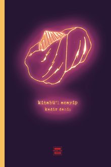 Kitabü'l Acayip - Kadir Daniş PDF İndir