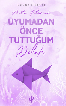 Uyumadan Önce Tuttuğum Dilek 3 - Anita Felipova PDF İndir