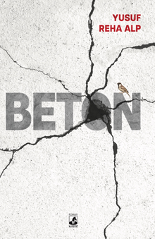 Beton PDF İndir