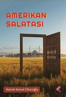 Amerikan Salatası - Namık Kemal Cıbaroğlu PDF İndir