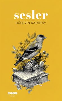 Sesler - Hüseyin Karatay PDF İndir