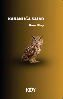 Karanlığa Salvo - Onur Ubay PDF İndir