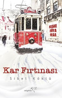 Kar Fırtınası - Sibel Köklü PDF İndir
