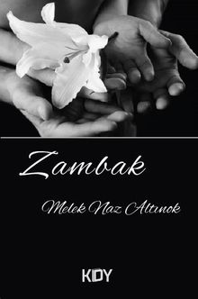 Zambak - Melek Naz Altınok PDF İndir