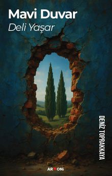 Mavi Duvar Deli Yaşar - Deniz Toprakkaya PDF İndir