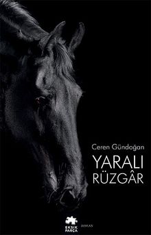Yaralı Rüzgar - Ceren Gündoğan PDF İndir