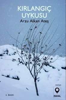 Kırlangıç Uykusu - Arzu Alkan Ateş PDF İndir