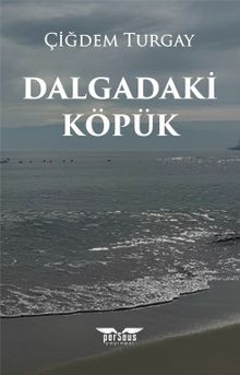 Dalgadaki Köpük - Çiğdem  Turgay PDF İndir