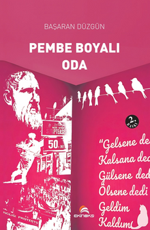 Pembe Boyalı Oda - Başaran Düzgün PDF İndir