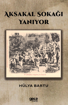 Aksakal Sokağı Yanıyor - Hülya Bartu PDF İndir