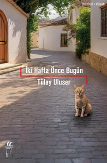İki Hafta Önce Bugün - Tülay Uluser PDF İndir