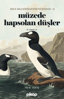 Müzede Hapsolan Düşler - Nilsu Akbaş PDF İndir