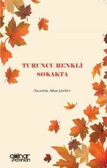 Turuncu Renkli Sokakta - Tacettin Aksu PDF İndir