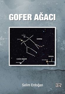 Gofer Ağacı - Selim  Erdoğan PDF İndir
